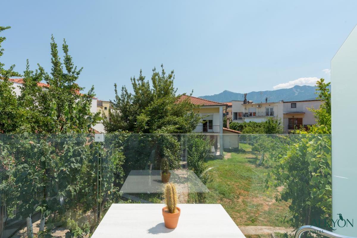 Alkyon Hotel Thassos Exteriör bild
